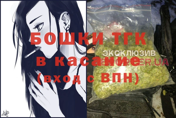 бошки Няндома