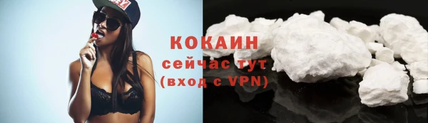 ешки Снежинск