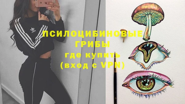 бошки Няндома