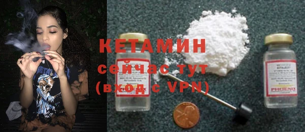бошки Няндома