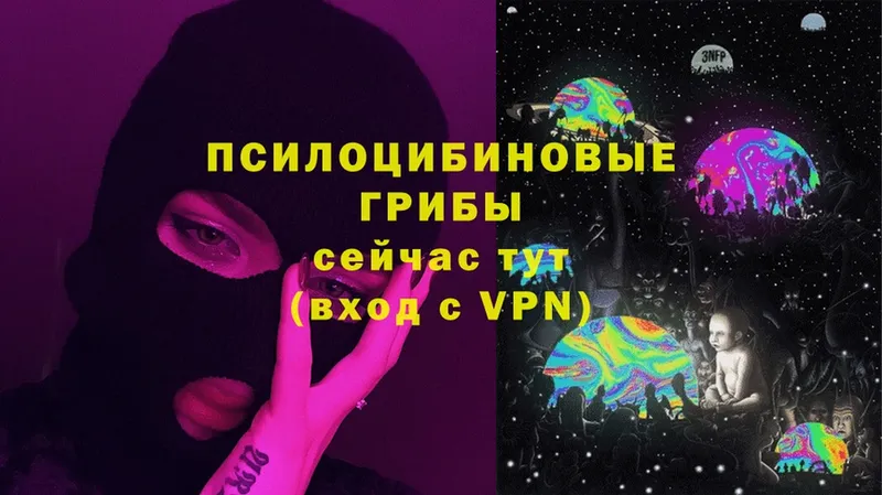 Псилоцибиновые грибы MAGIC MUSHROOMS  darknet телеграм  Алапаевск 