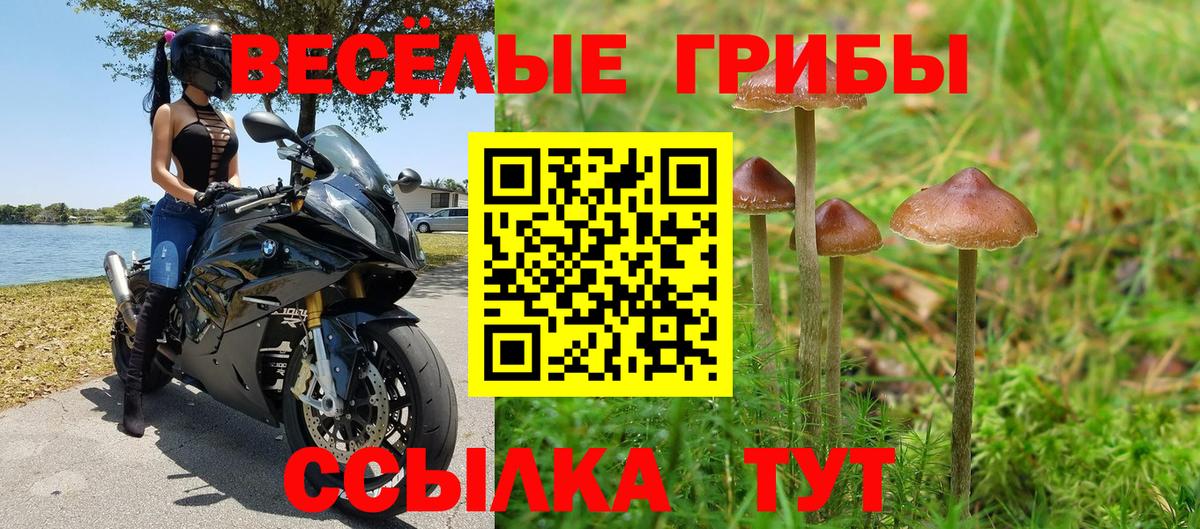 Псилоцибиновые грибы ЛСД  Вход с VPN  Алапаевск 